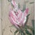 Mid 20th Century Mid 20th Century Impressionist Floral Still Life Oil Painting by Marthabel Cook Framed Gold Art For Sale - Image 5 of 12