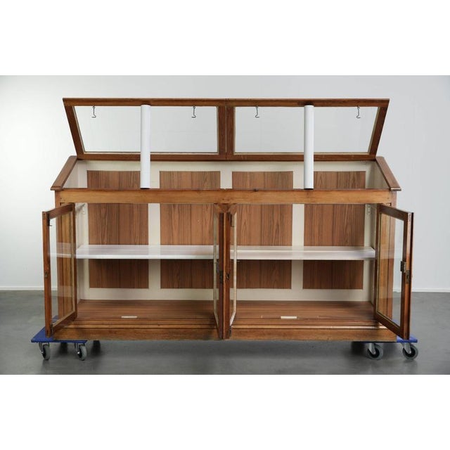 Vintage Museum Cabinet with Doors and Removable Shelves For Sale - Image 3 of 16