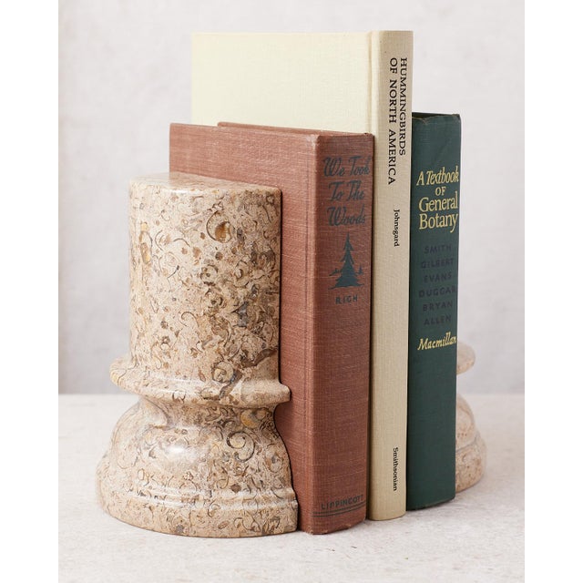 Fossilized Stone Bookends For Sale - Image 9 of 9