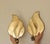 Mid-Century Modern Mid-Century Modern Swedish Brass Sconces, Set of 2 For Sale - Image 3 of 18