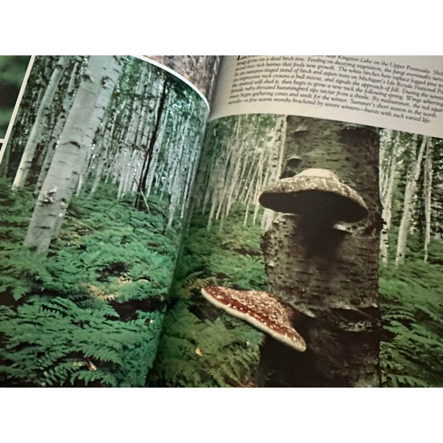 Vintage 1979 Green Hardcover Book With Embossed Mushroom & Frog For Sale - Image 10 of 12