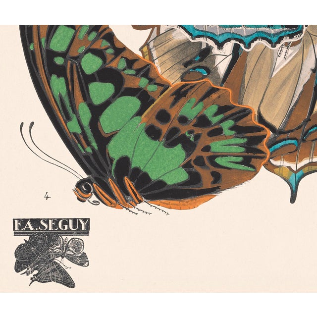 Papillons (Butterflies) Plate 13 Giclee Reproducion Art Print by Emile Allian Séguy For Sale - Image 4 of 4