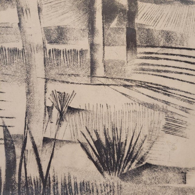 Joan Granados Llimona, Forest, Charcoal Drawing on Paper, 1977 For Sale - Image 12 of 15