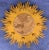 Monumental Francisco Hurtado, Carved Sunburst Wall Mirror For Sale In Miami - Image 6 of 6