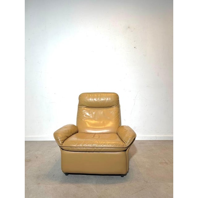 DS-50 Leather Lounge Chair from de Sede For Sale - Image 3 of 5