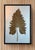 Asian Late 20th Century Large-Scale Pressed Botanical Specimen, Framed — Approx. 48 × 72 Inches For Sale - Image 3 of 3