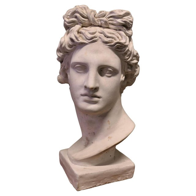 Large Heavy Bust of Apollo For Sale - Image 8 of 8