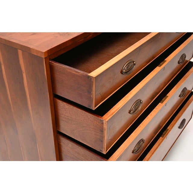 Vintage Regency Style Inlaid Yew Wood Chest of Drawers, 1960 For Sale - Image 10 of 11