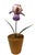 French Porcelain Flower in Terracotta Pot For Sale - Image 4 of 11