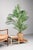 Antique step or plant table. We think this item dates back to the early Industial period (approximately 1900). Of course...