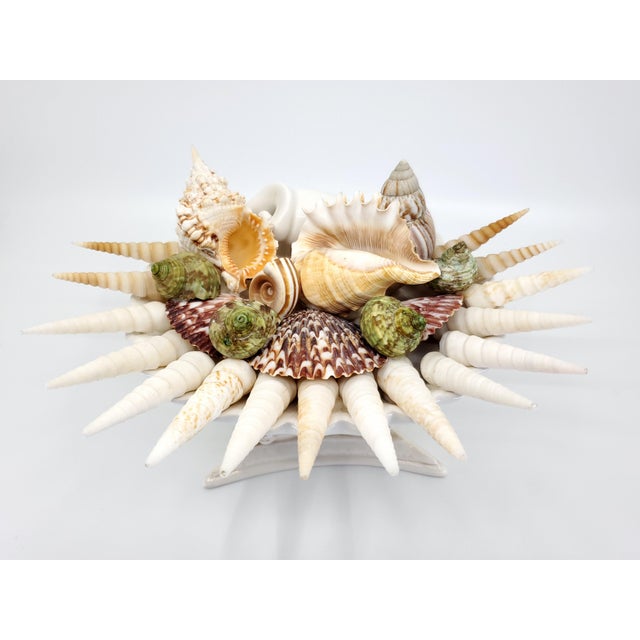 Christa's South Seashells Bowl Seashells Shells For Sale - Image 4 of 14