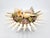 Christa's South Seashells Bowl Seashells Shells For Sale - Image 4 of 14