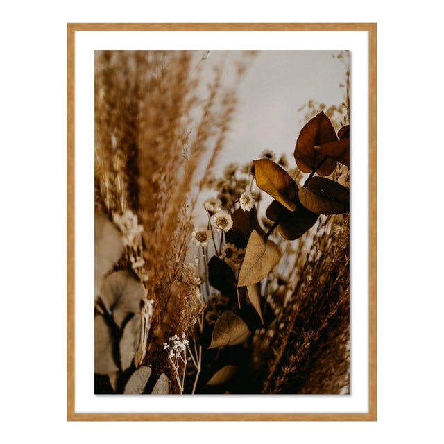 Untitled by Annie Spratt Contemporary Photograph in Gold Frame, Large For Sale