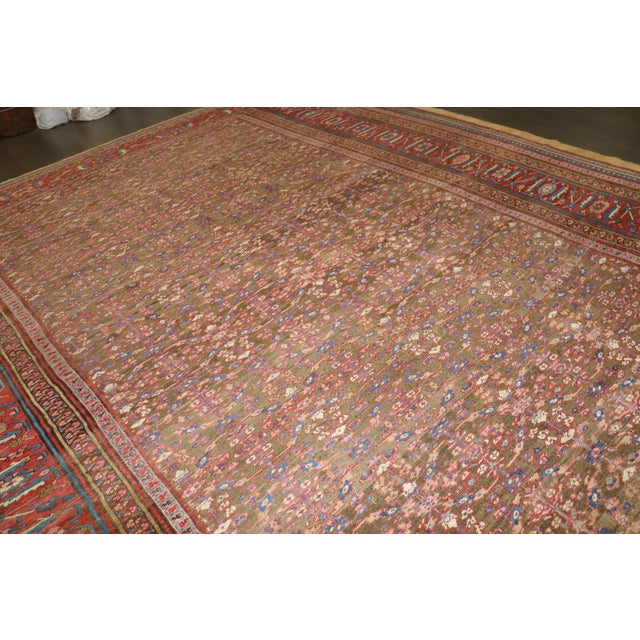 Farmhouse 19th Century Bakshaish Square Rug, 12' X 13'7'' For Sale - Image 3 of 15