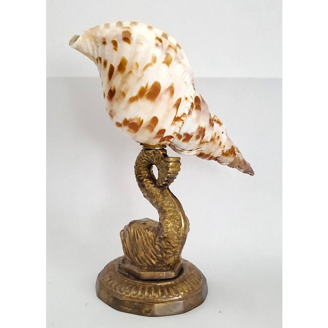 Metal Seashell Shell Specimen Sculpture on Antique Brass Koi Fish Base For Sale - Image 7 of 10