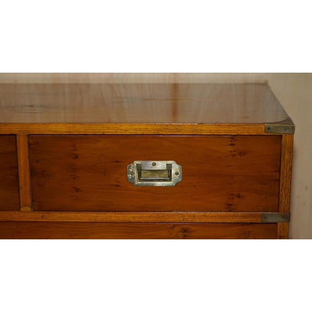 Vintage Military Campaign Chest of Drawers in Burr Yew Wood For Sale - Image 10 of 18