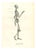 Paul Gervais, Human Anatomical Skeleton, 1854, Lithograph For Sale
