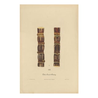 Sugarcane, 1892, Paper For Sale