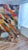 Handmade Moroccan Boujaad Rug, Rainbow Diagonal Chevron, 9' X 6'4" For Sale - Image 4 of 16