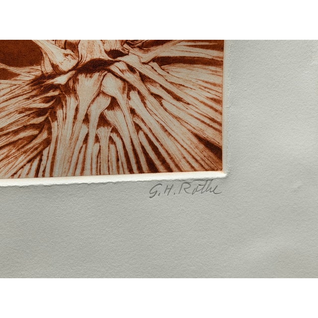 G H Rothe Yuca Hand Signed Art Limited Edition Landscape 1982 For Sale - Image 4 of 7