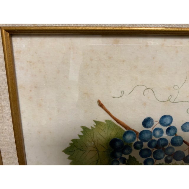 Late 20th Century Theorem Still Life Framed Painting of Fruit For Sale - Image 4 of 10