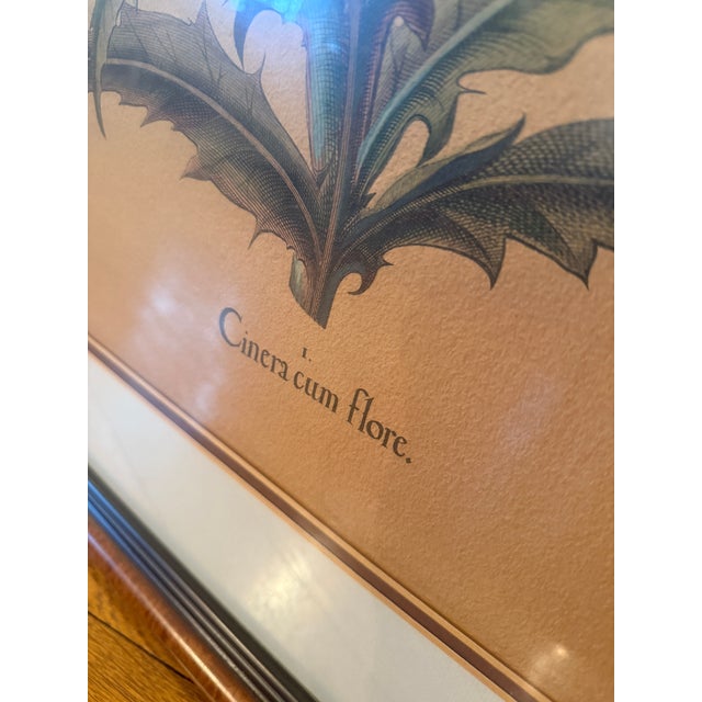 Late 20th Century Framed Besler Basilius "Cinera Cum Flore" Hand-Colored Artichoke Reproduction Print For Sale In Philadelphia - Image 6 of 14
