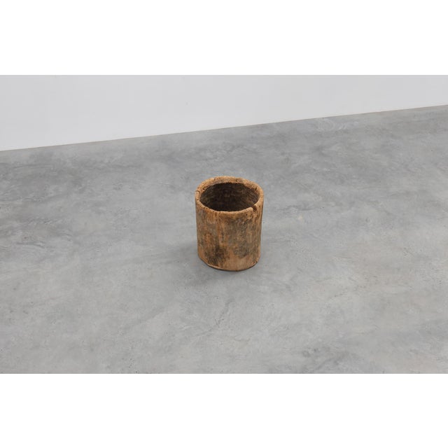19th Century French Primitive Hollowed Oak Tree Trunk Planter For Sale - Image 10 of 11