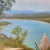 Vintage Original Acrylic Framed Still Life Painting Landscape Serene Yucca Trees River For Sale - Image 12 of 18