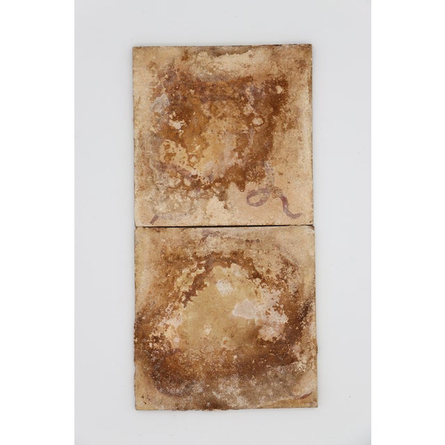 19th Century Set of Two Tiles Depicting Branches of Trees, Portuguese Baroque For Sale - Image 9 of 13