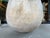 French Large Circa 1900 French Antique Teardrop Biot Jar With Yellow Glaze For Sale - Image 3 of 15