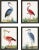 Contemporary Bird Reproduction Prints After Eleazar Albin, Framed - Set of 4 (#1) For Sale In Atlanta - Image 6 of 6