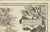 Early 18th Century Antique Map of Scotland by Johann Baptist Homann, 1710 For Sale - Image 5 of 17
