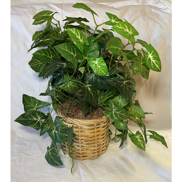Vintage Showroom Sample Round Basket Weave Planter with Faux Plant. Looks lovely. Basket Planter measures 7" in diameter...