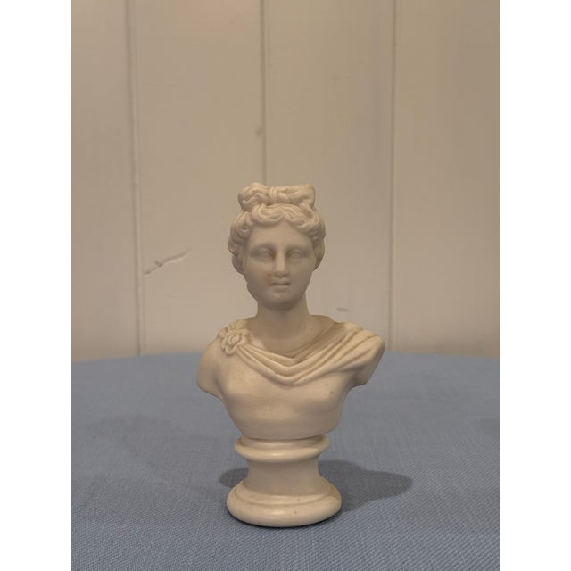 Pair of Antique French Composition Stone Classical Busts, Circa 1900 For Sale - Image 4 of 12