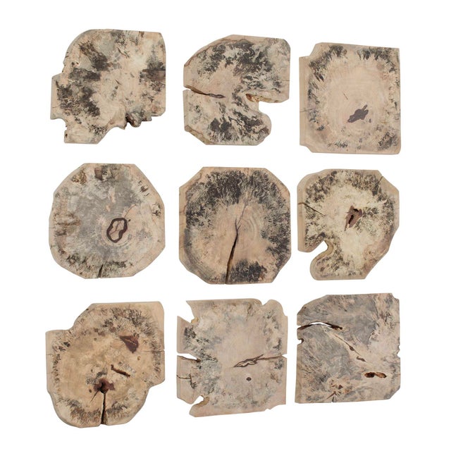 Contemporary Bahati Wood Bleached Wall Decor Set/9 For Sale - Image 3 of 5
