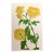 Henry Evans Chrysanthemum 1976 Reproduction Print For Sale
