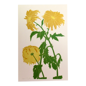 Henry Evans Chrysanthemum 1976 Reproduction Print