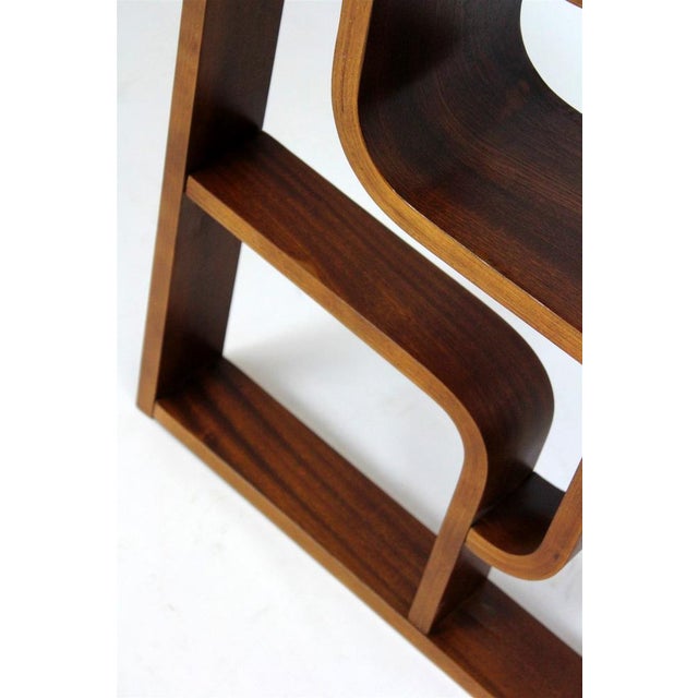 Mid-Century Room Divider attributed to Ludvik Volak for Drevopodnik Holesov, 1960s For Sale - Image 4 of 14