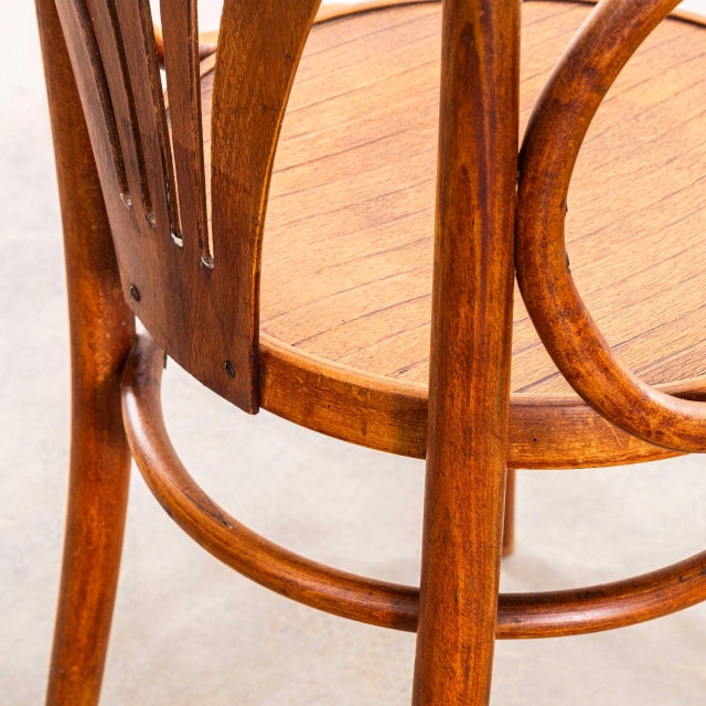 Wood Vintage Bentwood Debrecen Blonde Dining Chairs, 1950s, Set of 2 For Sale - Image 7 of 11