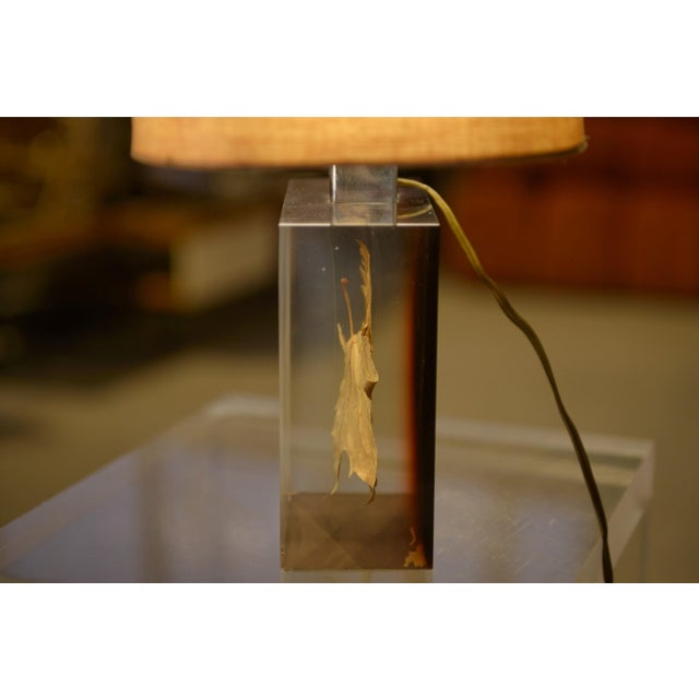 Lamp with Plane Tree Leaf Inclusion by Pierre Giraudon, 1970s For Sale - Image 10 of 11