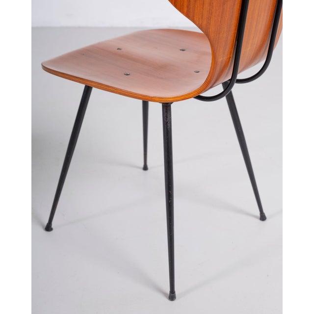 Dining Chairs by Carlo Ratti for Industria Legni Curvati, 1950s, Set of 4 For Sale - Image 6 of 8