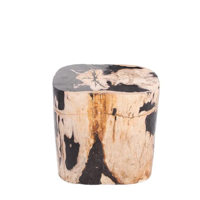 Made from one fossilized tree trunk, this organic petrified wood stool or side table is hand polished to show its...