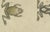 19th Century Bertuch, Four Tree Frogs Including a Blue Frog, 1815, Print For Sale - Image 5 of 12