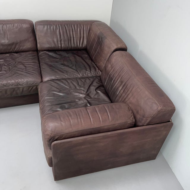 Animal Skin Large DS76 Modular Sofa in Brown Leather from de Sede, Switzerland, 1970s, Set of 5 For Sale - Image 7 of 18