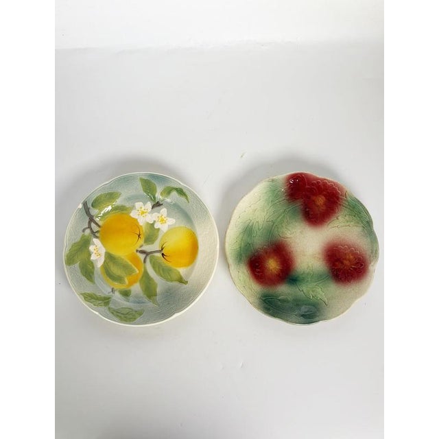 Rustic Majolica Plates, France, 20th Century, Set of 2 For Sale - Image 3 of 15