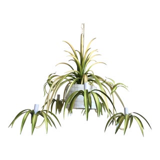 Italian Spider Plant Chandelier For Sale