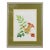 Vintage Hand-Painted Plant Specimen Watercolor Trumpet Creeper (With Frame). Signed in the Lower Right Corner For Sale