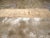 Galerie Shabab Collection Mid-20th Century Turkish Anatolian Runner For Sale In New York - Image 6 of 10