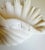 Sculpture Materials Serge Roche Style Clam Shell Wall Pockets - A Pair For Sale - Image 7 of 13