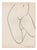 Henri Matisse, Nude, 1952, Lithograph For Sale